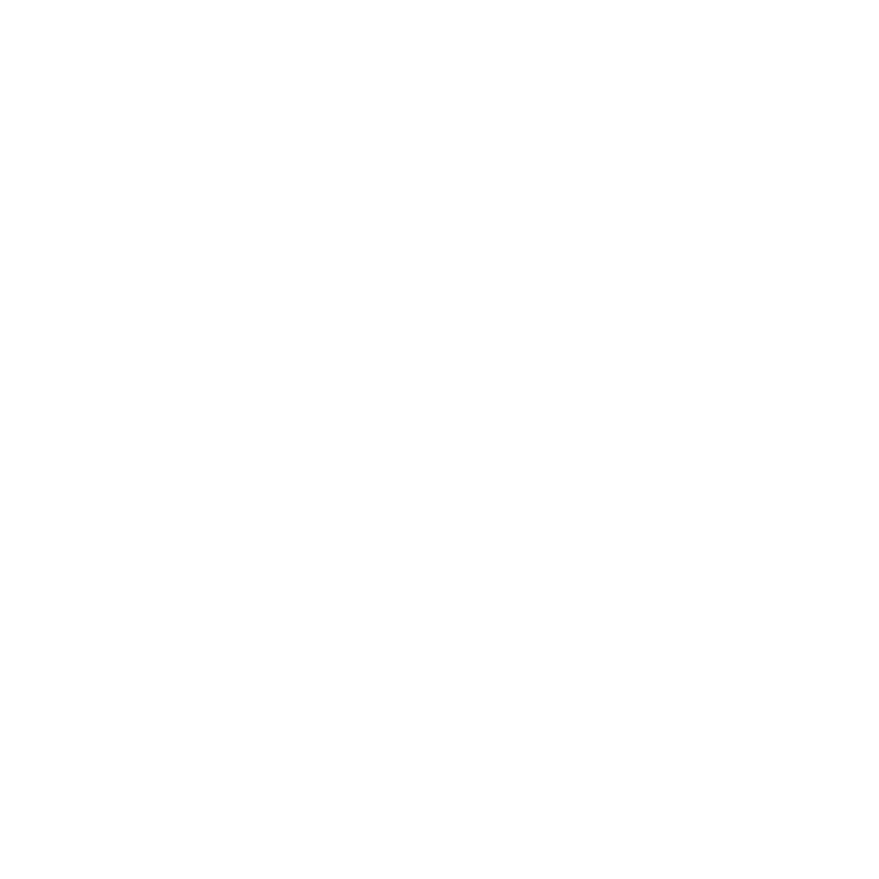 SPACE CHASER